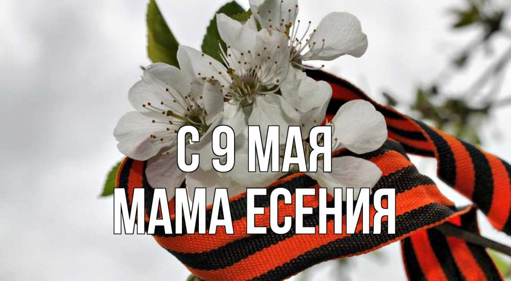 Открытка на каждый день с именем, Мама-Есения С 9 мая 9 мая Прикольная открытка с пожеланием онлайн скачать бесплатно 