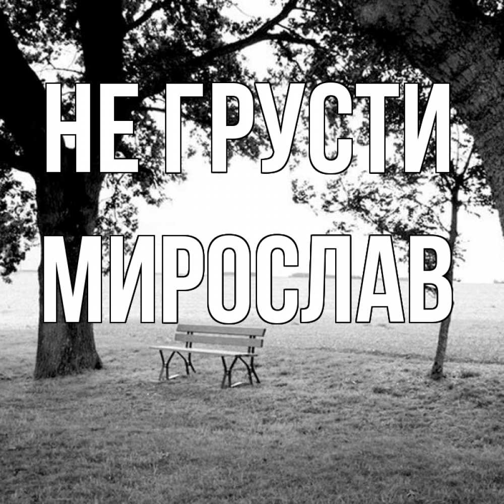 Открытка на каждый день с именем, Мирослав Не грусти мощное дерево Прикольная открытка с пожеланием онлайн скачать бесплатно 