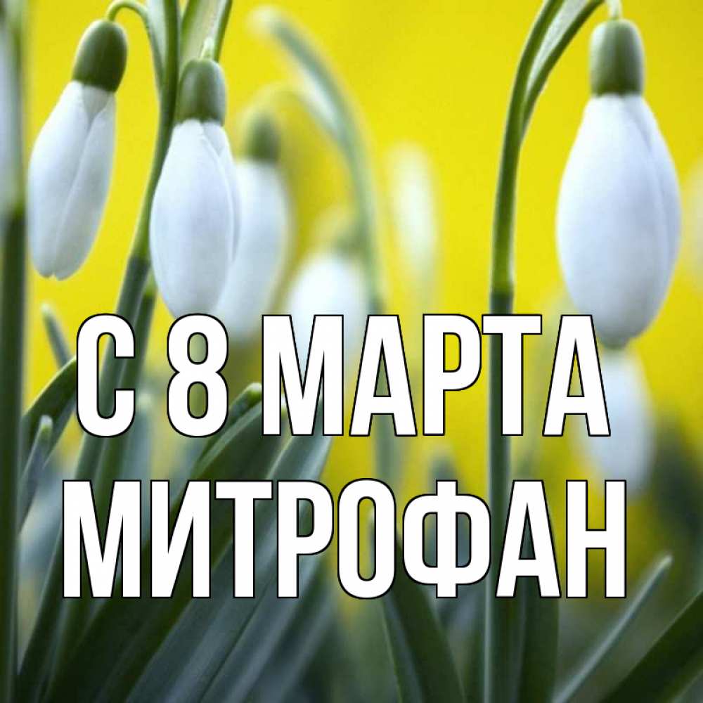 Открытка на каждый день с именем, Митрофан С 8 МАРТА весенние цветы Прикольная открытка с пожеланием онлайн скачать бесплатно 