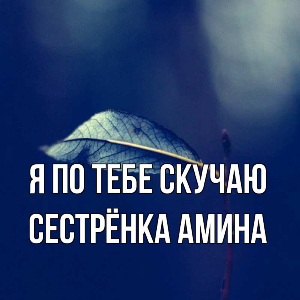 Открытка на каждый день с именем, Сестрёнка-Амина Я по тебе скучаю одна ветка 1 Прикольная открытка с пожеланием онлайн скачать бесплатно 