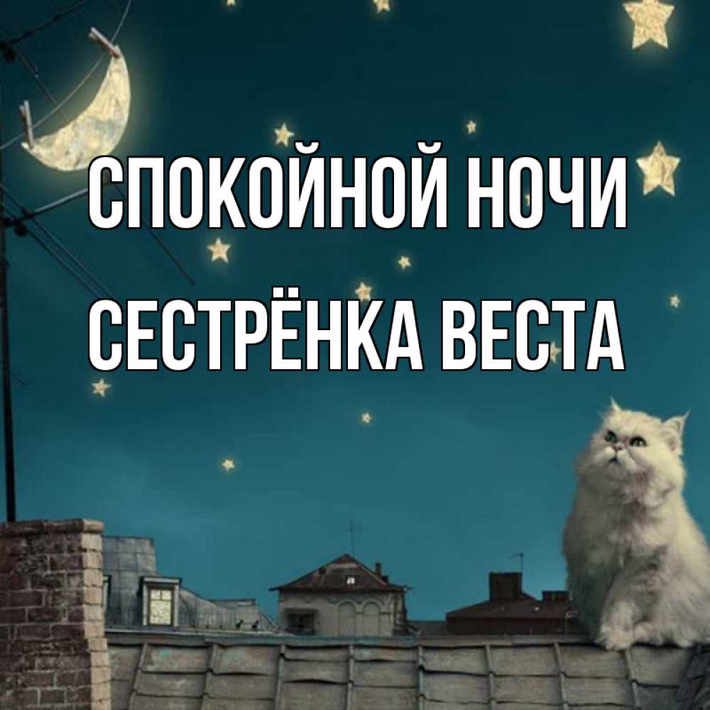 Открытка на каждый день с именем, Сестрёнка-Веста Спокойной ночи белый кот сидит на крыше Прикольная открытка с пожеланием онлайн скачать бесплатно 