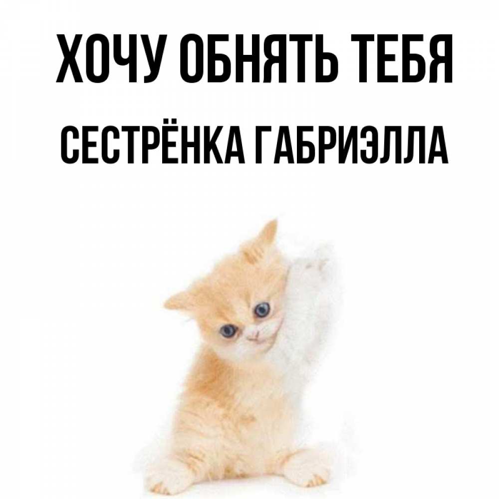 Открытка на каждый день с именем, Сестрёнка-Габриэлла Хочу обнять тебя я хочу очень скорее обнимаешек Прикольная открытка с пожеланием онлайн скачать бесплатно 