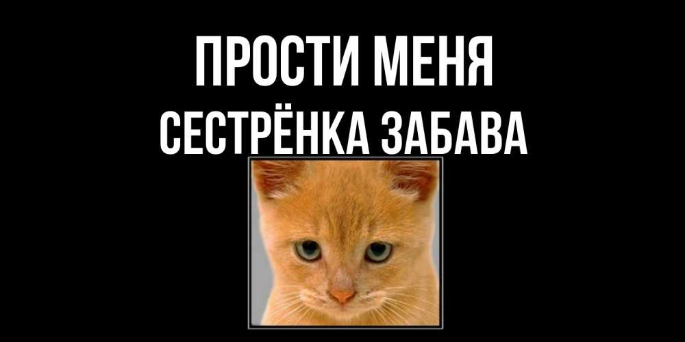 Открытка на каждый день с именем, Сестрёнка-Забава Прости меня рыжий грустный кот просит прощения Прикольная открытка с пожеланием онлайн скачать бесплатно 