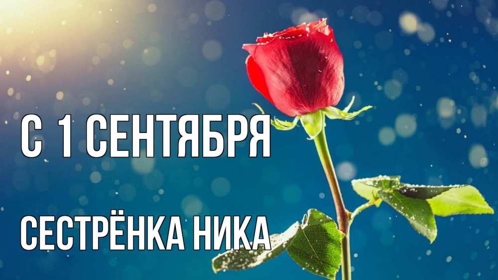 Открытка на каждый день с именем, Сестрёнка-Ника С 1 сентября с днем знаний Прикольная открытка с пожеланием онлайн скачать бесплатно 