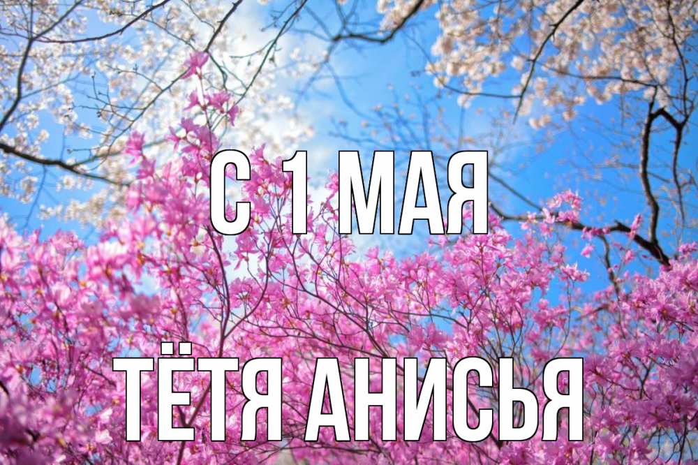 Открытка на каждый день с именем, Тётя-Анисья С 1 мая С 1 мая Прикольная открытка с пожеланием онлайн скачать бесплатно 