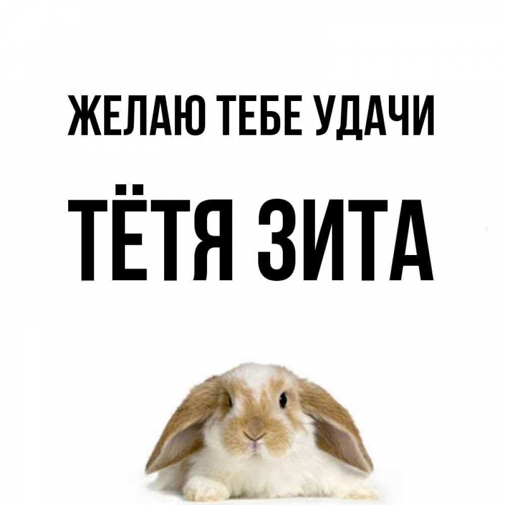 Открытка на каждый день с именем, Тётя-Зита Желаю тебе удачи открытки с произвольным текстом который можно вставить в открытку и создать ее самостоятельно бесплатно онлайн Прикольная открытка с пожеланием онлайн скачать бесплатно 