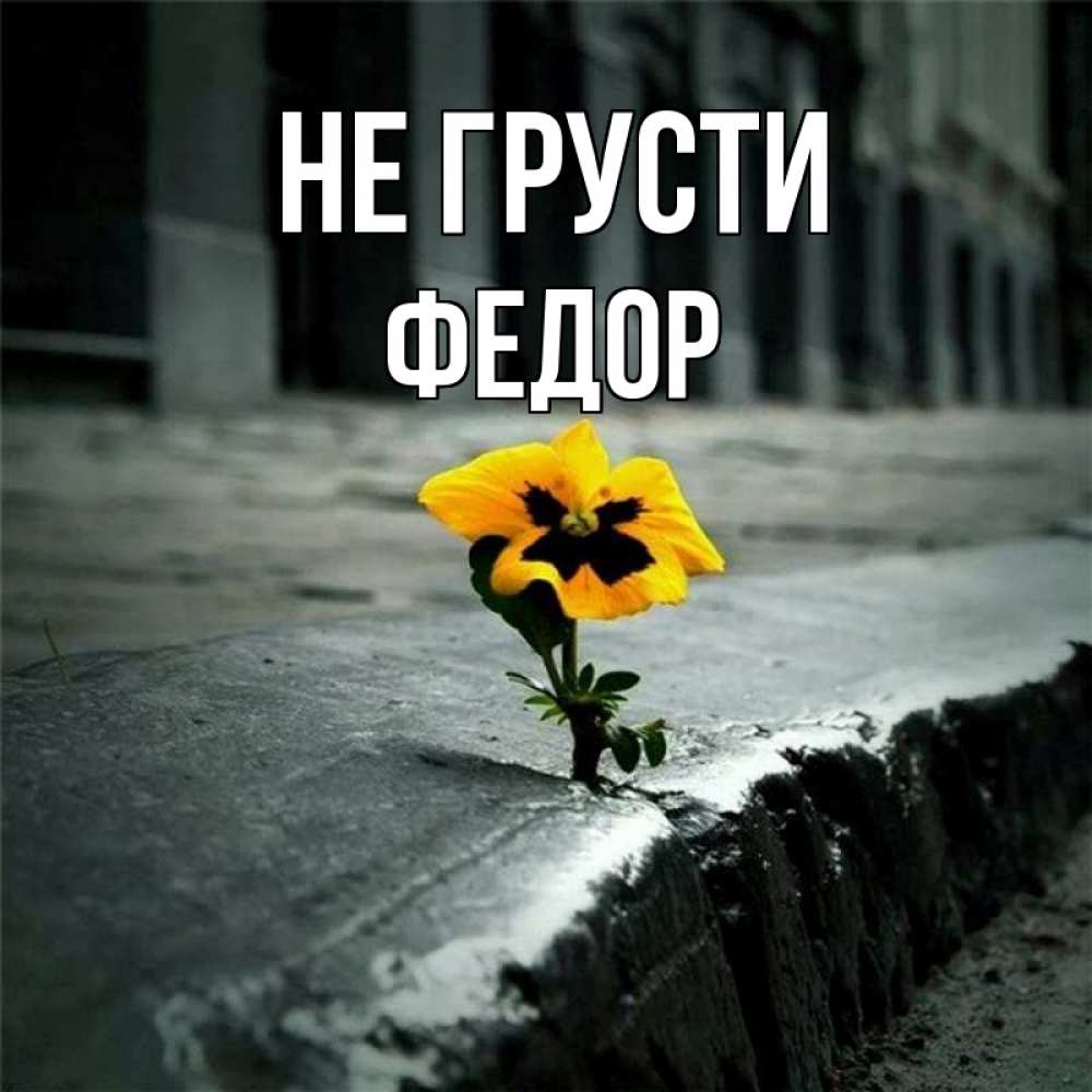 Открытка на каждый день с именем, Федор Не грусти не сдавайся Прикольная открытка с пожеланием онлайн скачать бесплатно 