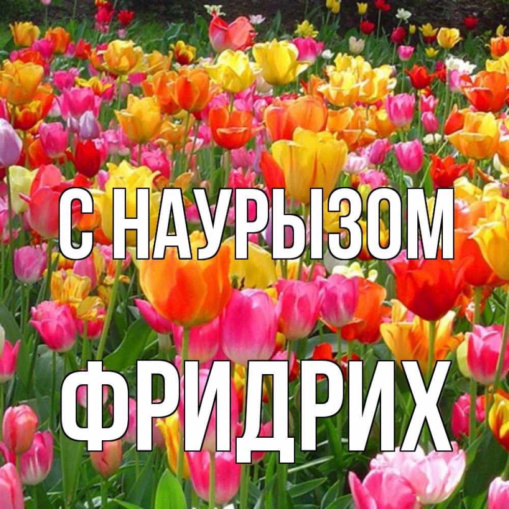 Открытка на каждый день с именем, Фридрих С наурызом праздник весны наурыз 4 Прикольная открытка с пожеланием онлайн скачать бесплатно 