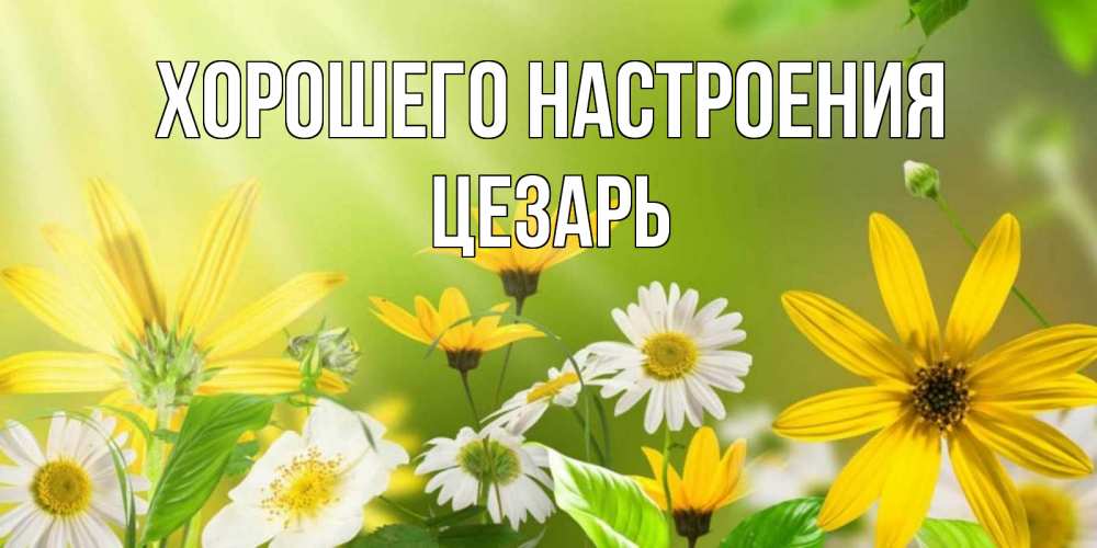 Открытка на каждый день с именем, Цезарь Хорошего настроения цветы Прикольная открытка с пожеланием онлайн скачать бесплатно 