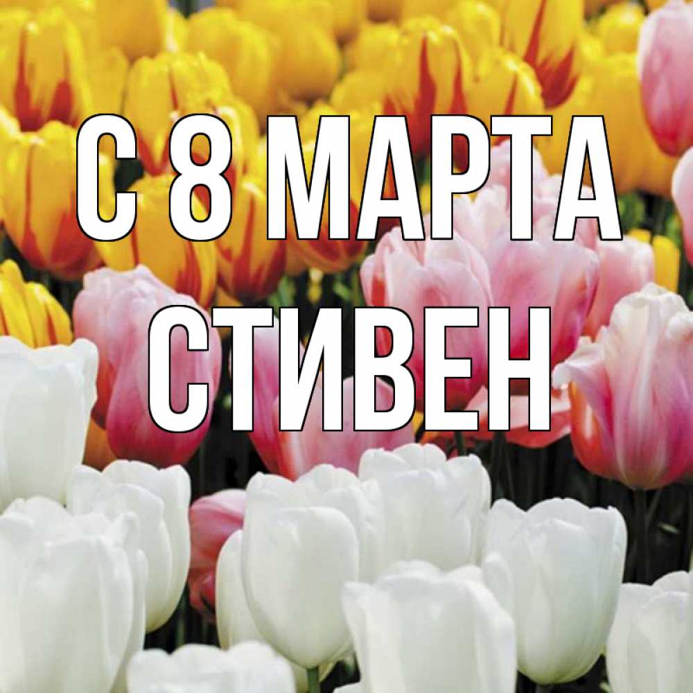 Открытка на каждый день с именем, Стивен С 8 МАРТА разноцветные цветы Прикольная открытка с пожеланием онлайн скачать бесплатно 