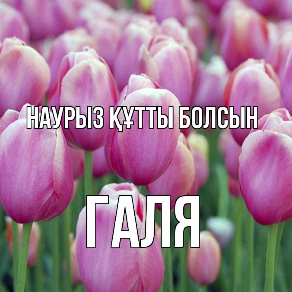 Картинка Наурыз құтты болсын, Галя
