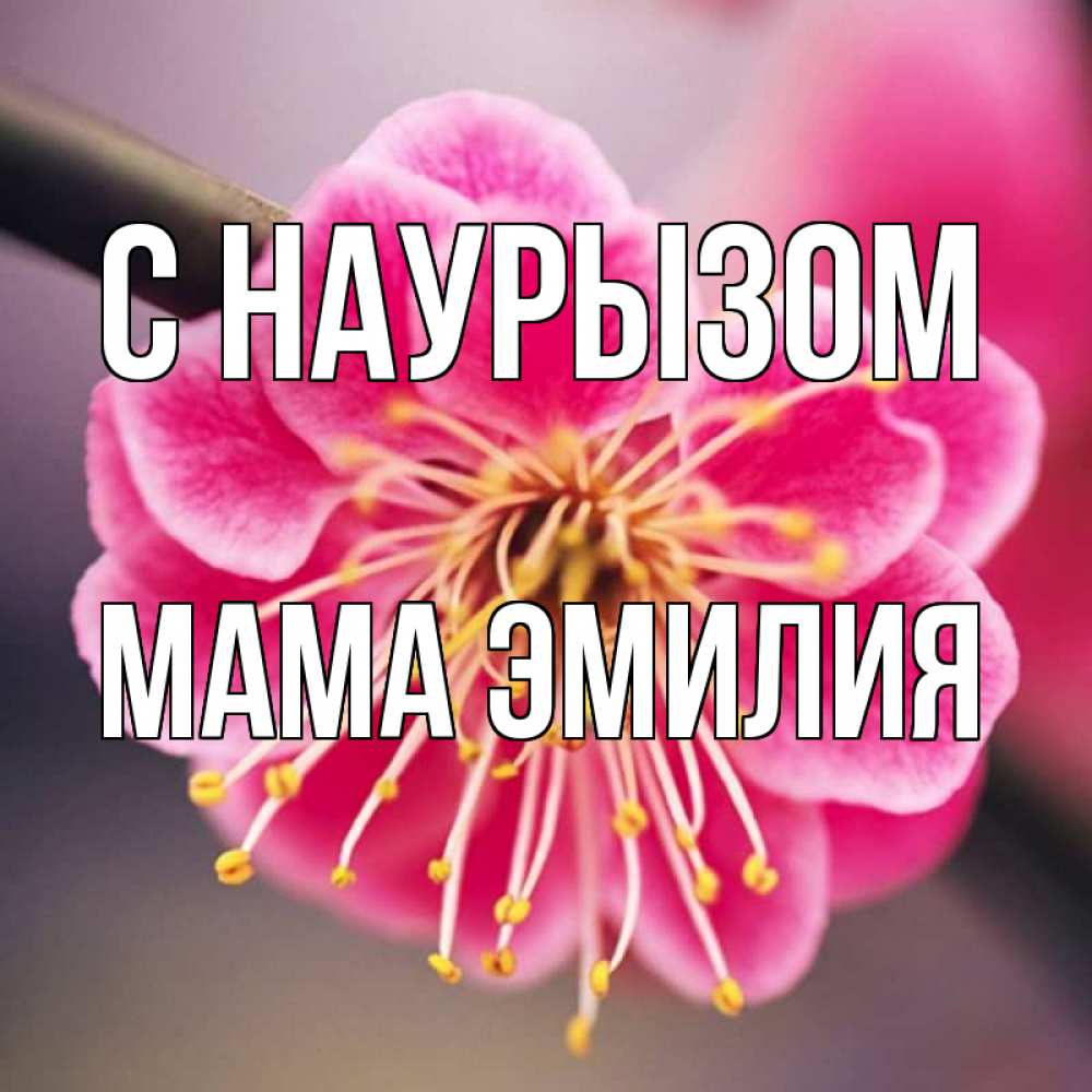 Открытка на каждый день с именем, Мама-Эмилия С наурызом цветы Прикольная открытка с пожеланием онлайн скачать бесплатно 