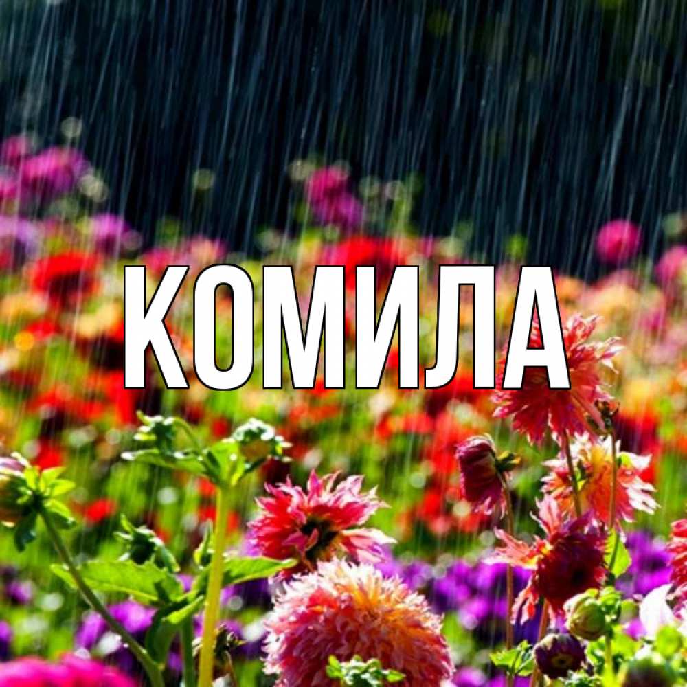 Открытка на каждый день с именем, Комила Главная цветы под дождиком к международному женскому дню Прикольная открытка с пожеланием онлайн скачать бесплатно 