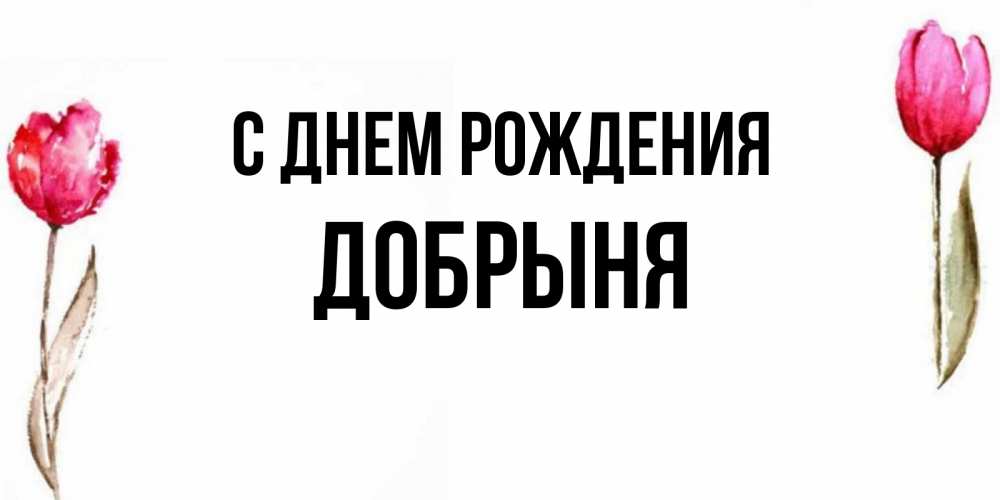 Открытка на каждый день с именем, Добрыня С днем рождения открытки акварелью с цветами Прикольная открытка с пожеланием онлайн скачать бесплатно 
