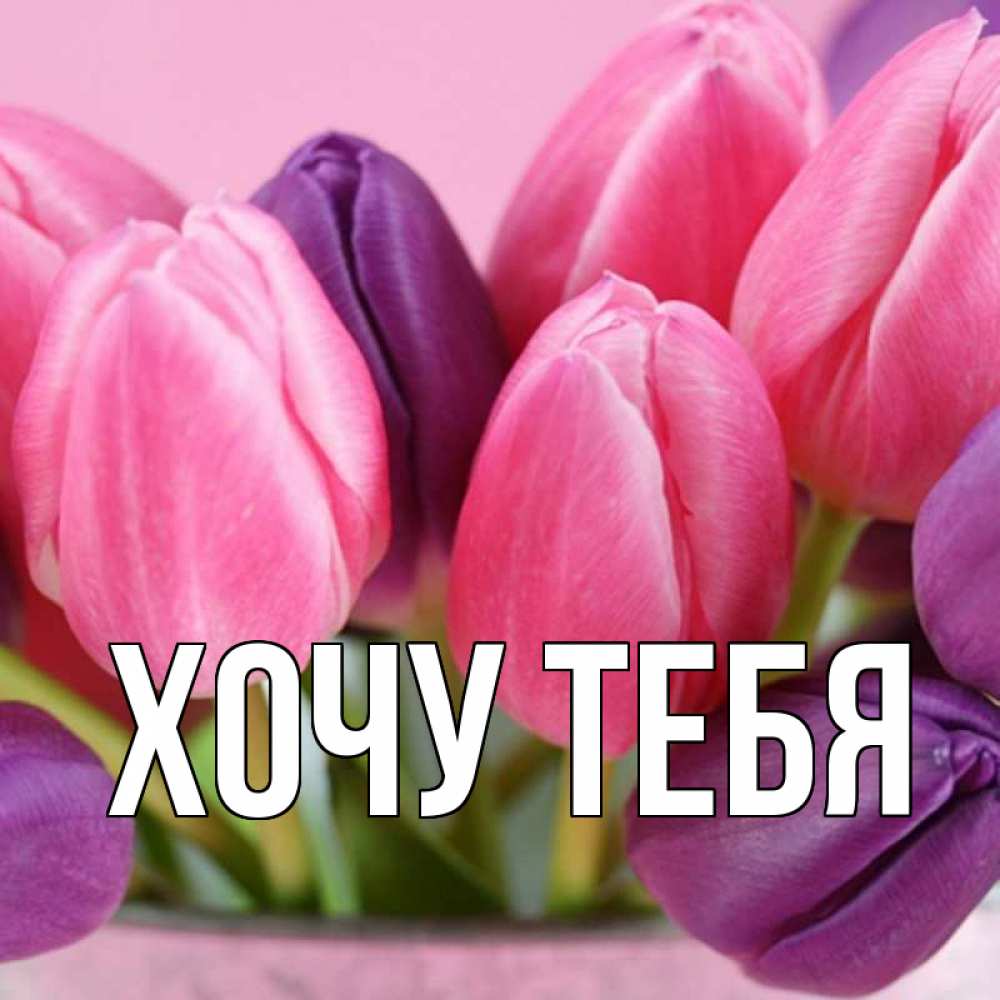 Открытка на каждый день с именем, Хочу-тебя Главная маме 1 Прикольная открытка с пожеланием онлайн скачать бесплатно 