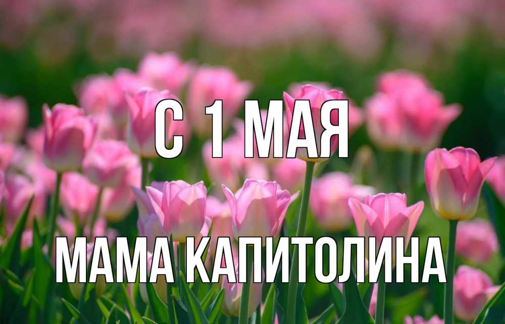Открытка на каждый день с именем, Мама-Капитолина С 1 мая С 1 мая Прикольная открытка с пожеланием онлайн скачать бесплатно 