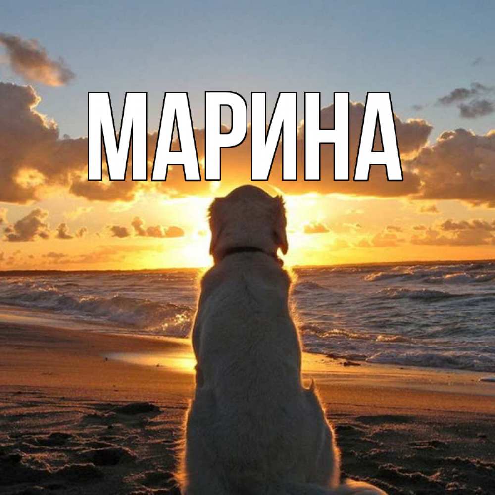 Открытка на каждый день с именем, Марина Главная восход солнца Прикольная открытка с пожеланием онлайн скачать бесплатно 