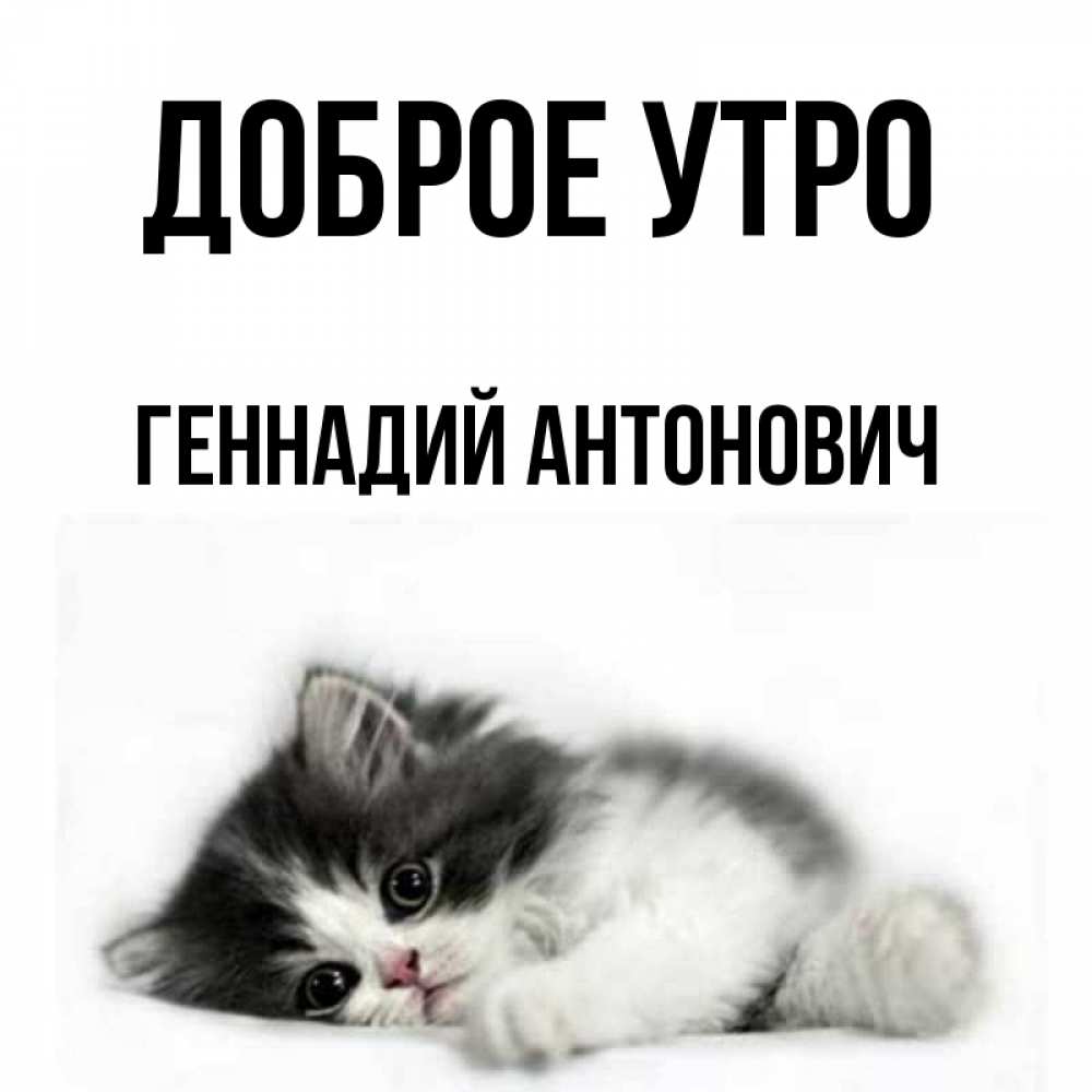 Картинки доброе утро геночка