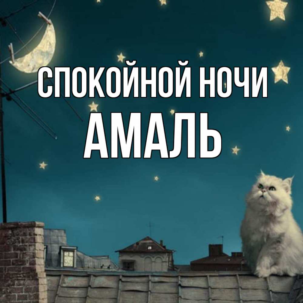 Открытка на каждый день с именем, Амаль Спокойной ночи белый кот сидит на крыше Прикольная открытка с пожеланием онлайн скачать бесплатно 