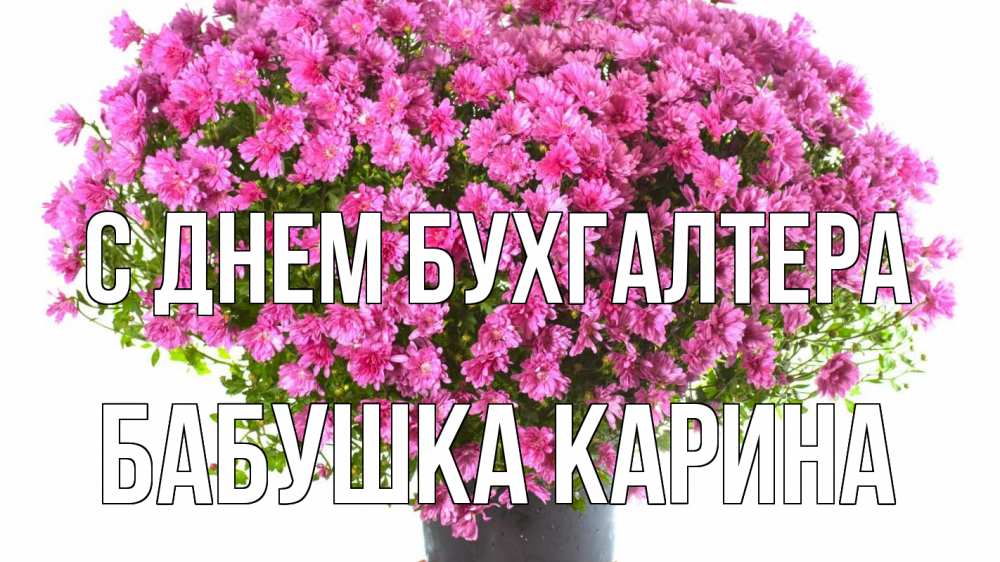 Открытка на каждый день с именем, Бабушка-Карина С днем бухгалтера с днем бухгалтера Прикольная открытка с пожеланием онлайн скачать бесплатно 