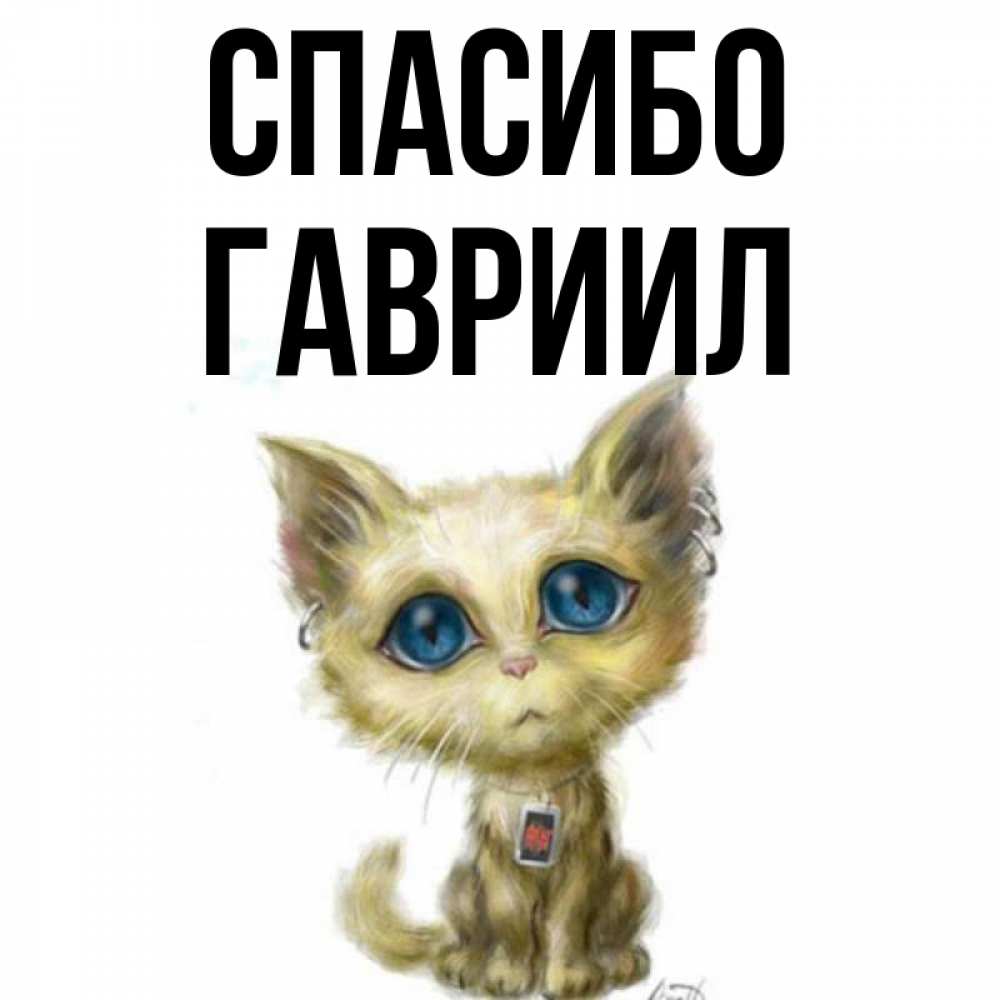 Открытка на каждый день с именем, Гавриил Спасибо рисованный кот благодарит вас Прикольная открытка с пожеланием онлайн скачать бесплатно 