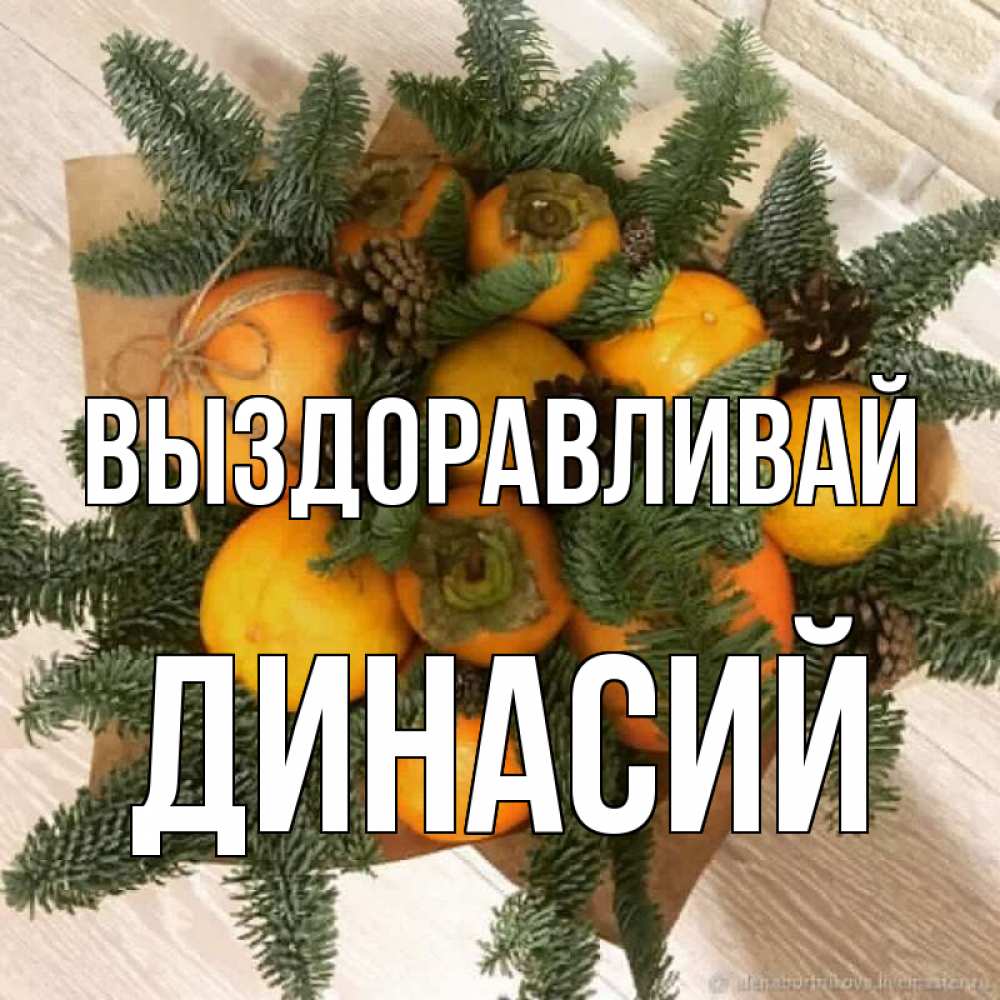 Открытка на каждый день с именем, Динасий Выздоравливай апельсины и хурьма Прикольная открытка с пожеланием онлайн скачать бесплатно 