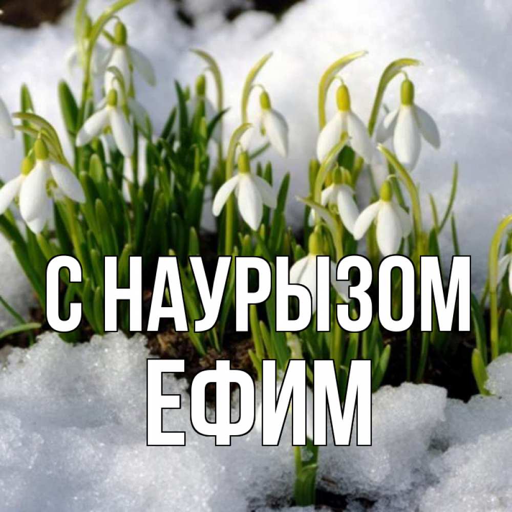 Открытка на каждый день с именем, Ефим С наурызом цветы весенние Прикольная открытка с пожеланием онлайн скачать бесплатно 