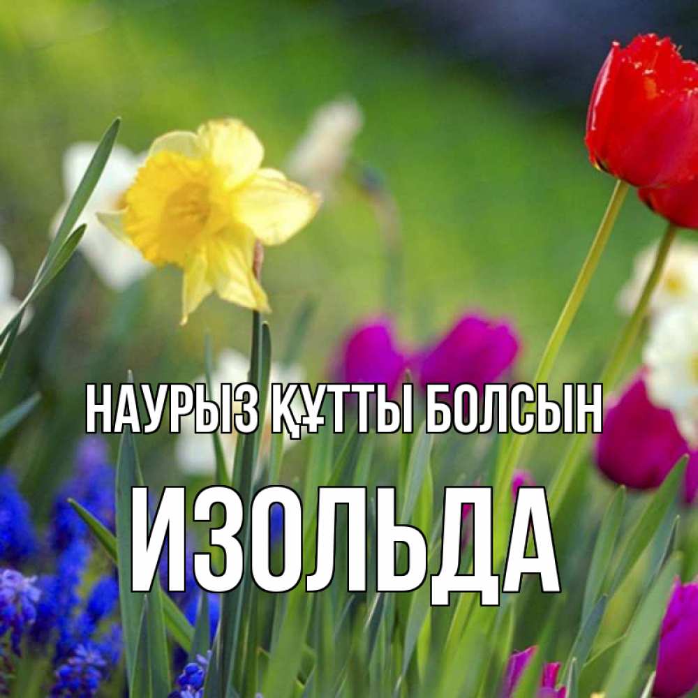 Открытка на каждый день с именем, Изольда Наурыз құтты болсын наурыз  3 открытки Прикольная открытка с пожеланием онлайн скачать бесплатно 
