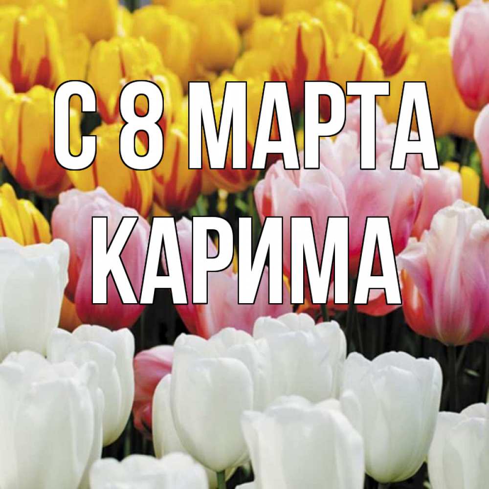 Открытка на каждый день с именем, Карима С 8 МАРТА разноцветные цветы Прикольная открытка с пожеланием онлайн скачать бесплатно 