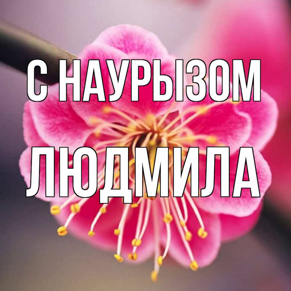 Открытка на каждый день с именем, Людмила С наурызом цветы Прикольная открытка с пожеланием онлайн скачать бесплатно 