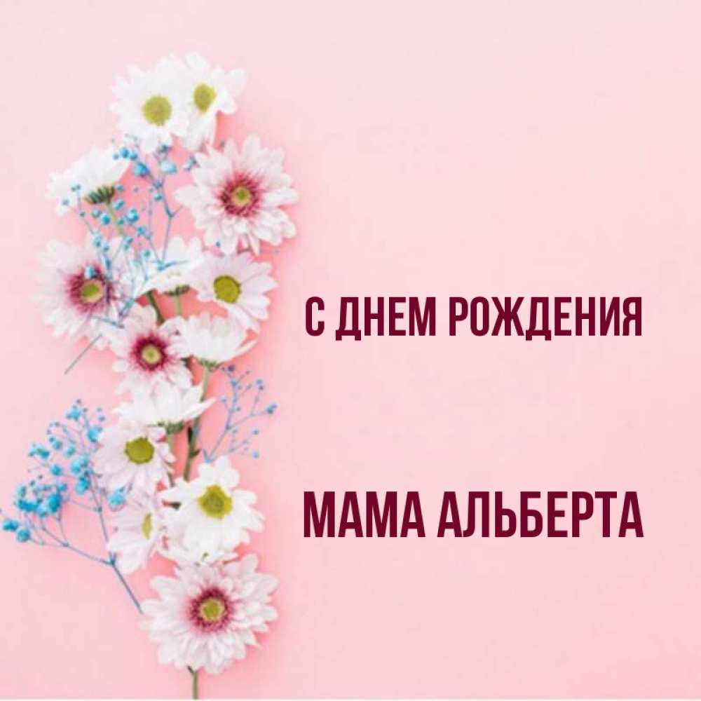 Открытка на каждый день с именем, Мама-Альберта С днем рождения Родная моя с днем рождения тебя картинка с цветами белыми и голубыми Прикольная открытка с пожеланием онлайн скачать бесплатно 