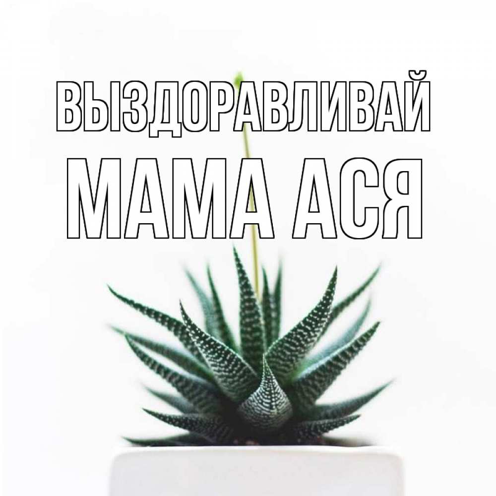 Открытка на каждый день с именем, Мама-Ася Выздоравливай короче это непонятная колючка Прикольная открытка с пожеланием онлайн скачать бесплатно 