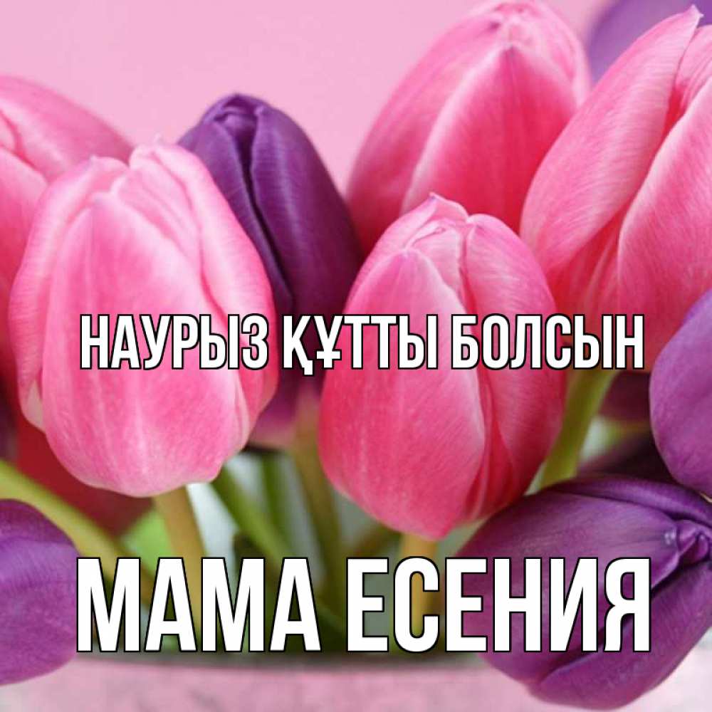 Открытка на каждый день с именем, Мама-Есения Наурыз құтты болсын маме 1 Прикольная открытка с пожеланием онлайн скачать бесплатно 