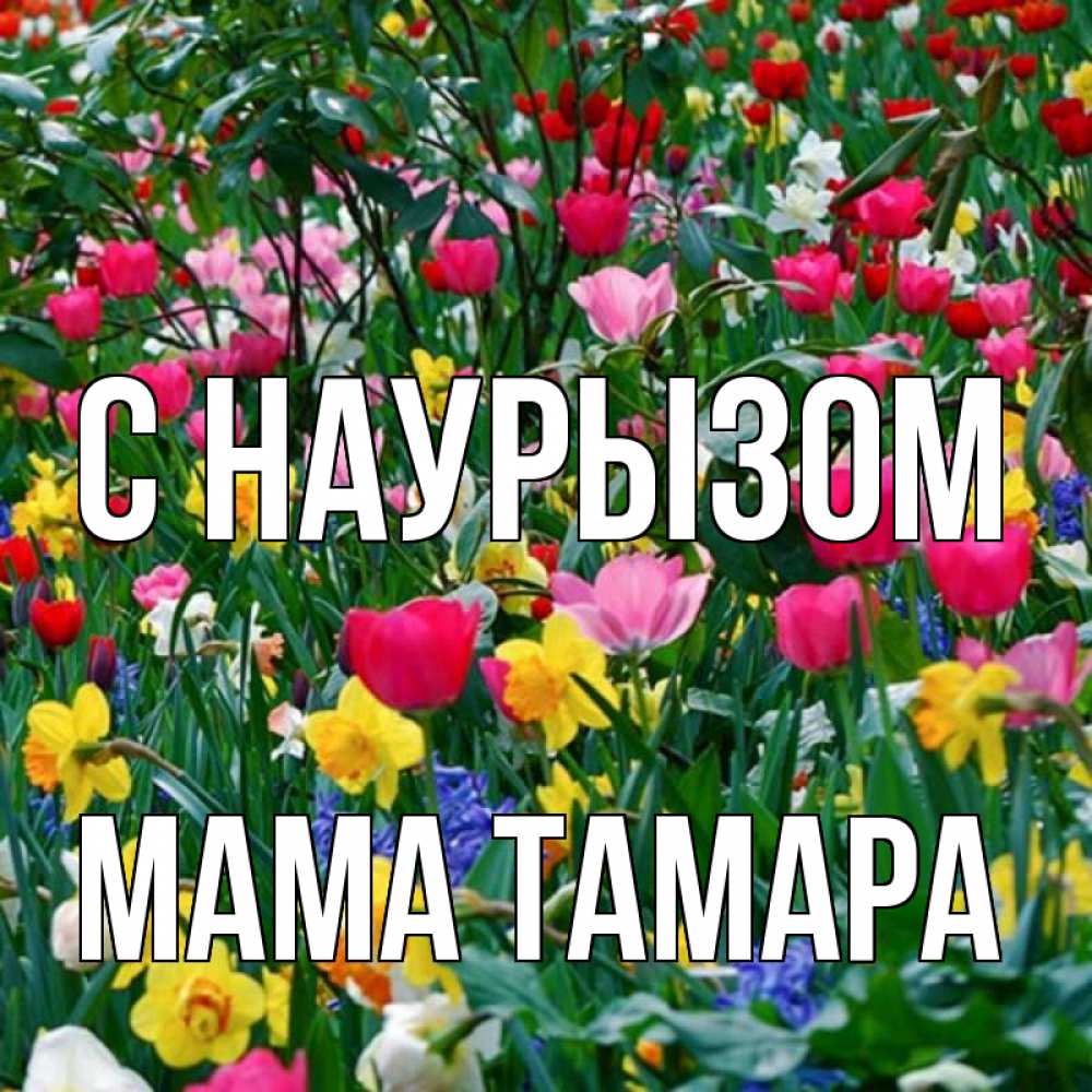 Открытка на каждый день с именем, Мама-Тамара С наурызом с наурызом праздником весны поздравления для женщины Прикольная открытка с пожеланием онлайн скачать бесплатно 
