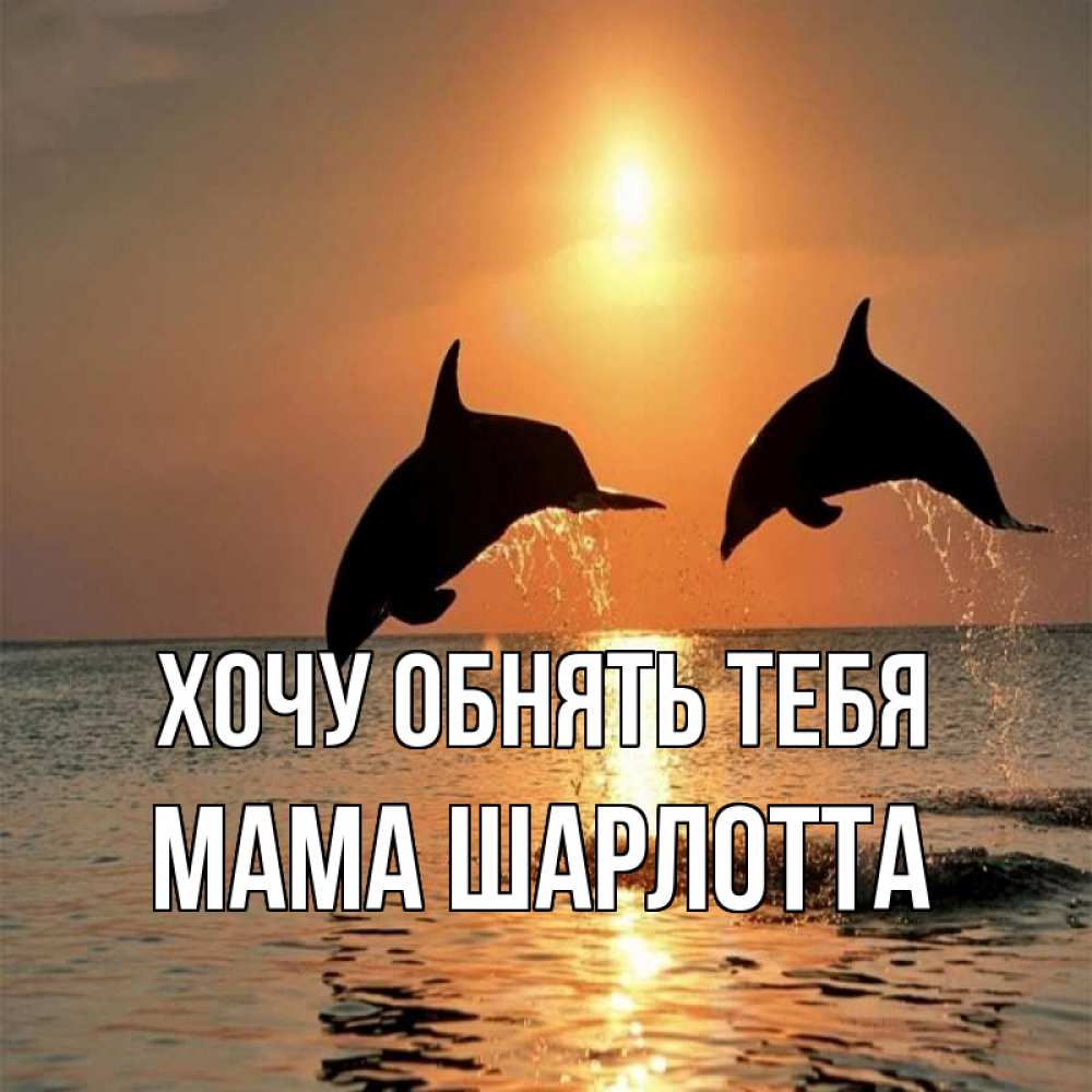 Открытка на каждый день с именем, Мама-Шарлотта Хочу обнять тебя рыбы на закате Прикольная открытка с пожеланием онлайн скачать бесплатно 