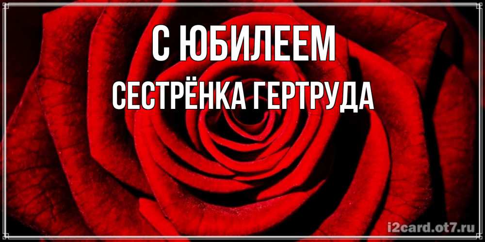 Открытка на каждый день с именем, Сестрёнка-Гертруда С юбилеем алая роза Прикольная открытка с пожеланием онлайн скачать бесплатно 