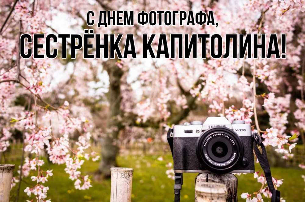 Открытка на каждый день с именем, Сестрёнка-Капитолина С днем фотографа сирень с днем фотографа, фотоаппарат Прикольная открытка с пожеланием онлайн скачать бесплатно 