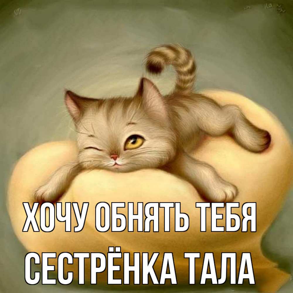 Открытка на каждый день с именем, Сестрёнка-Тала Хочу обнять тебя кошечка Прикольная открытка с пожеланием онлайн скачать бесплатно 
