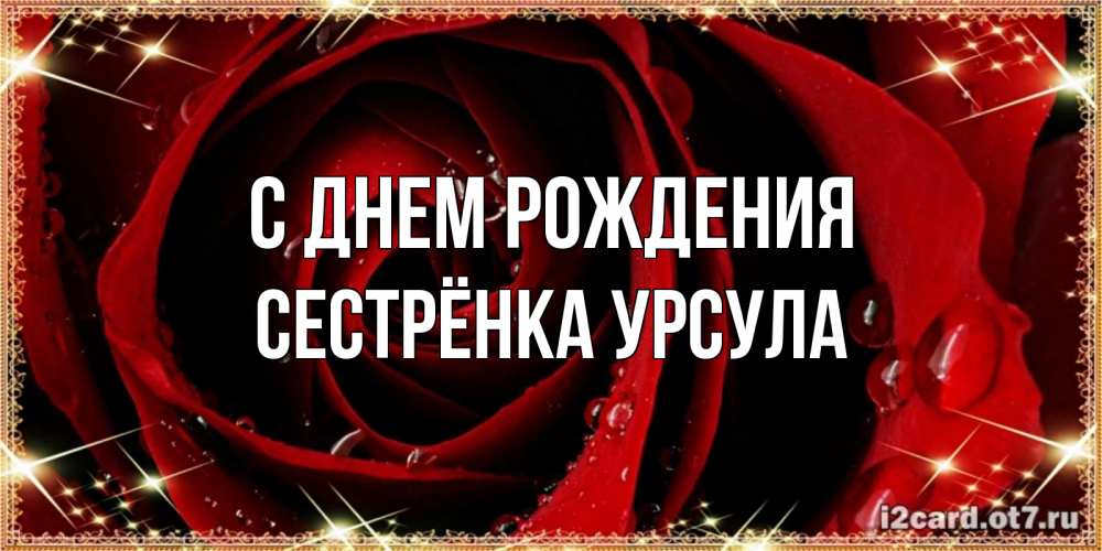 Открытка на каждый день с именем, Сестрёнка-Урсула С днем рождения цветок в росе на день рождения Прикольная открытка с пожеланием онлайн скачать бесплатно 