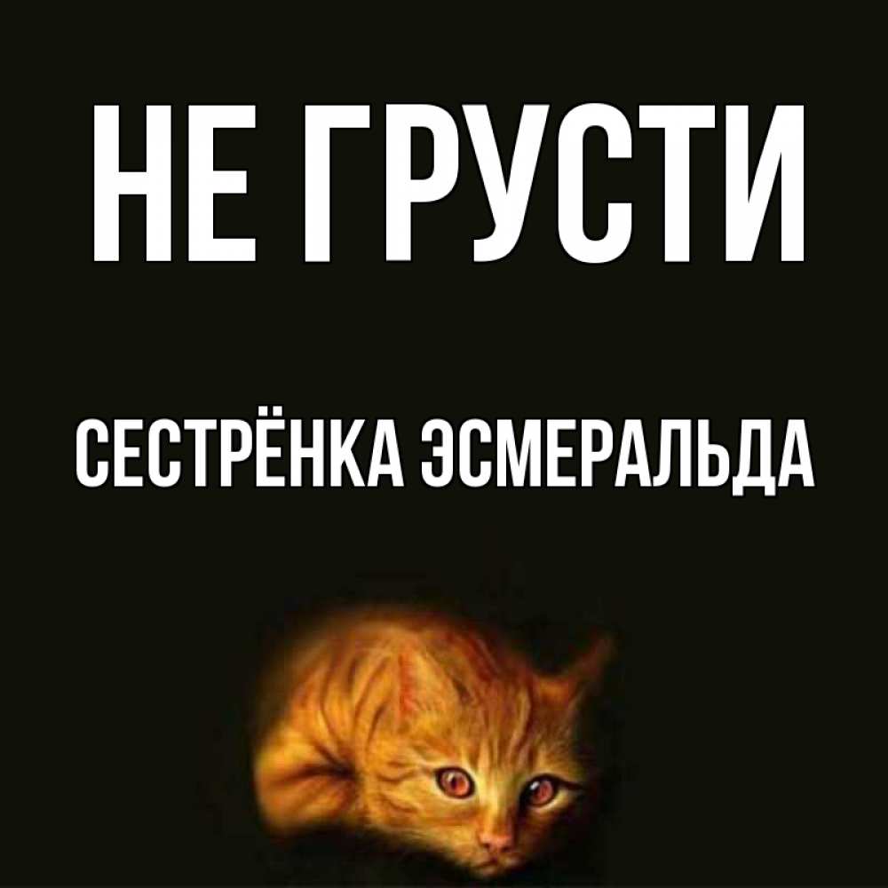 Открытка на каждый день с именем, Сестрёнка-Эсмеральда Не грусти лежащий кот в темноте Прикольная открытка с пожеланием онлайн скачать бесплатно 