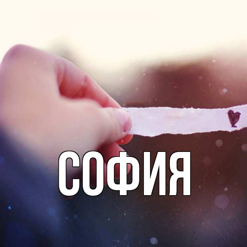 Открытка на каждый день с именем, София Главная для тебя Прикольная открытка с пожеланием онлайн скачать бесплатно 