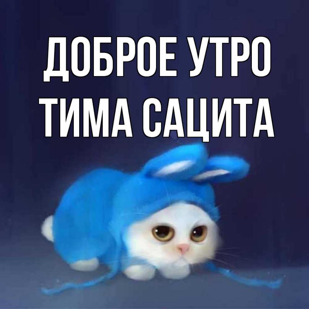 Открытка на каждый день с именем, Тима-сацита Доброе утро открытки красивые скачать бесплатно Прикольная открытка с пожеланием онлайн скачать бесплатно 