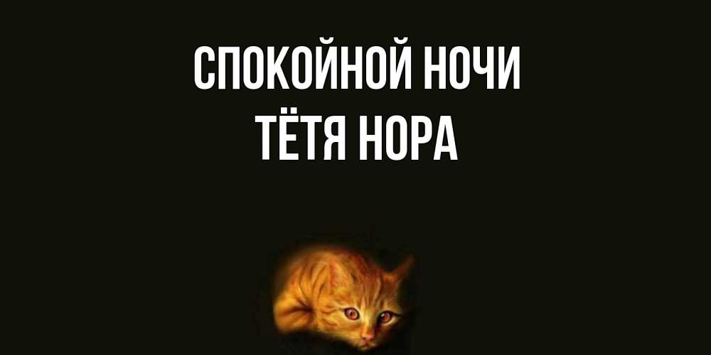 Открытка на каждый день с именем, Тётя-Нора Спокойной ночи кот Прикольная открытка с пожеланием онлайн скачать бесплатно 