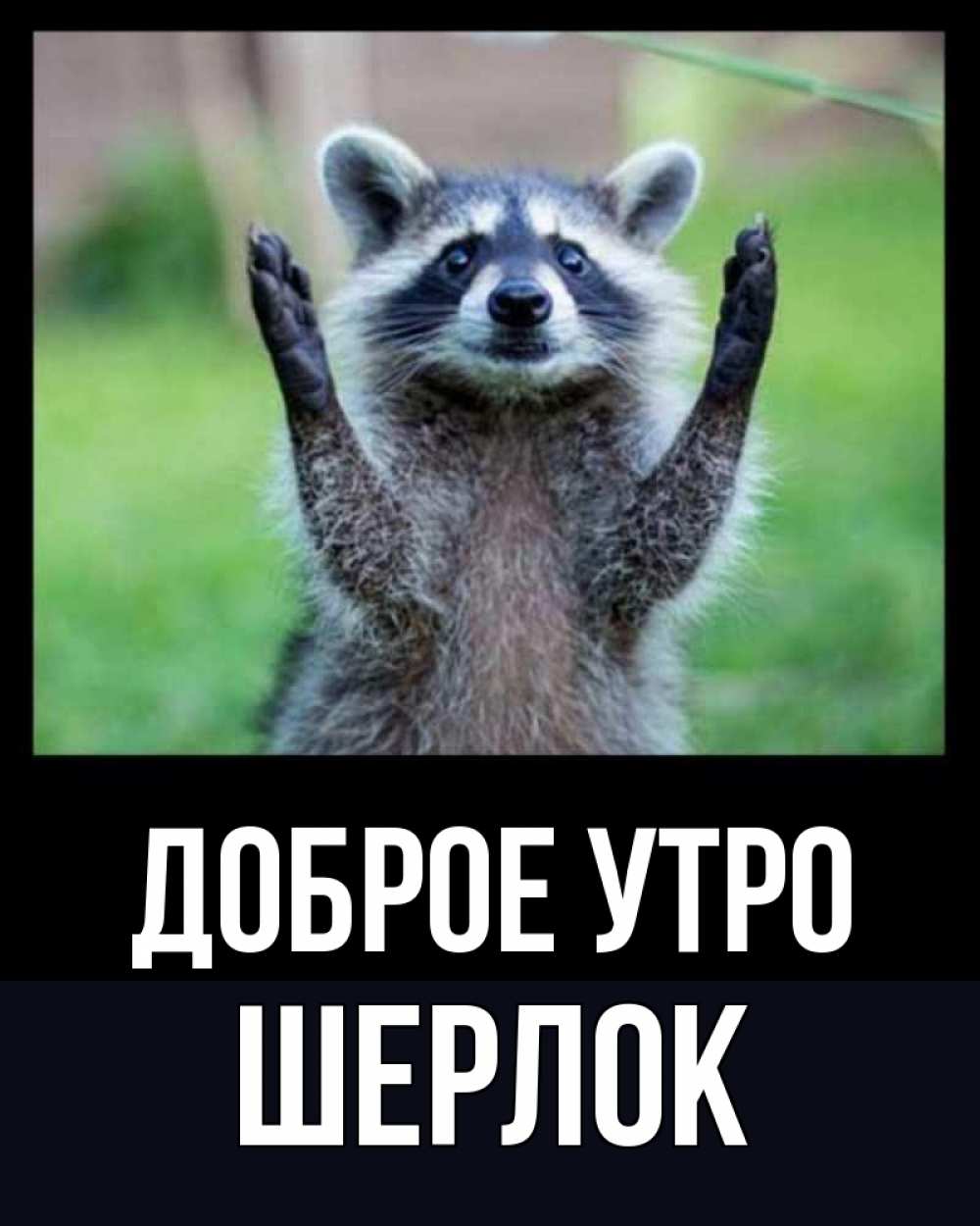 Открытка на каждый день с именем, Шерлок Доброе утро хорошее настроение утречком Прикольная открытка с пожеланием онлайн скачать бесплатно 