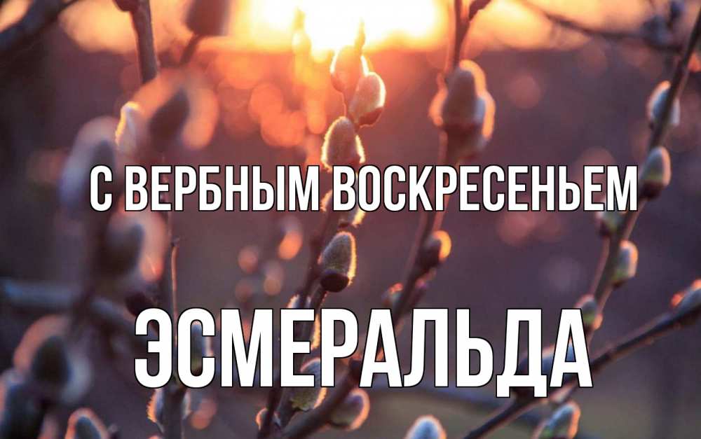 Открытка на каждый день с именем, Эсмеральда С вербным воскресеньем верба Прикольная открытка с пожеланием онлайн скачать бесплатно 