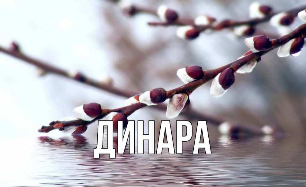 Картинка  с именем , Динара