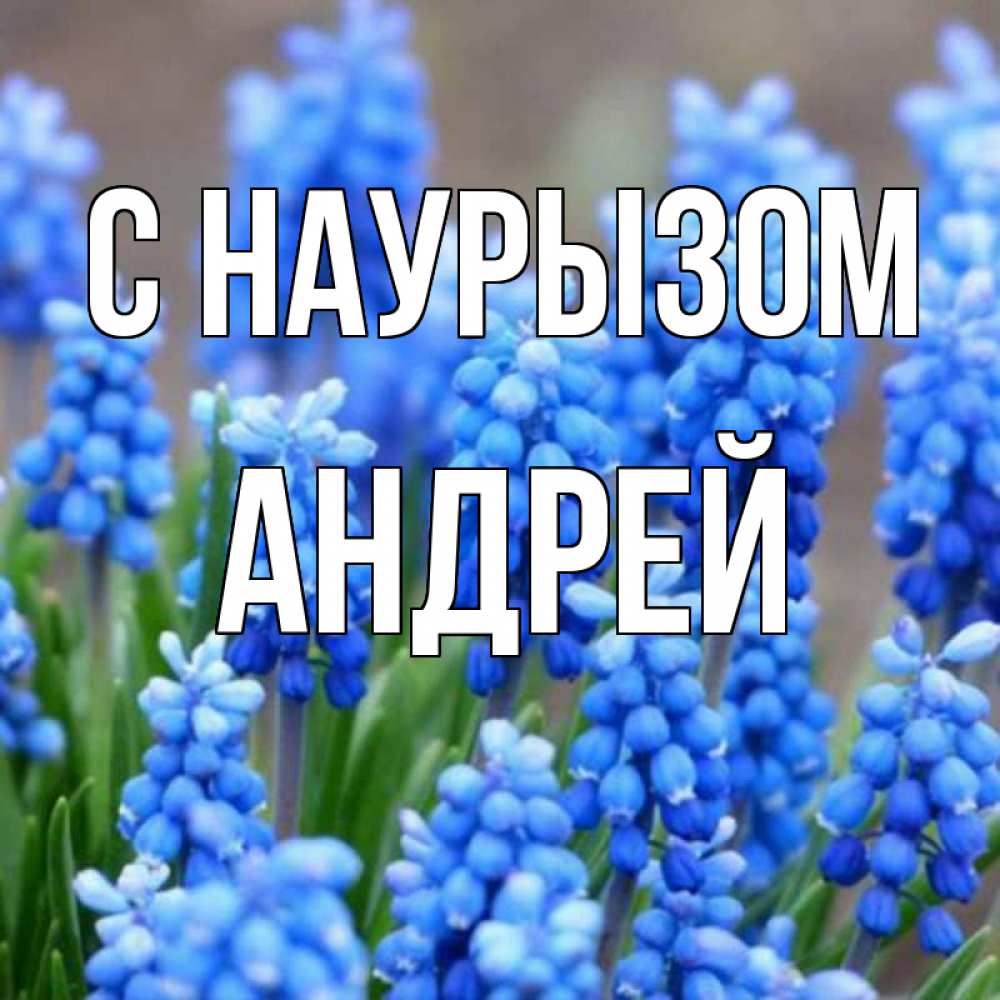 Открытка на каждый день с именем, Андрей С наурызом Поздравительная открытка для женщин с цветами на праздничную дату Прикольная открытка с пожеланием онлайн скачать бесплатно 