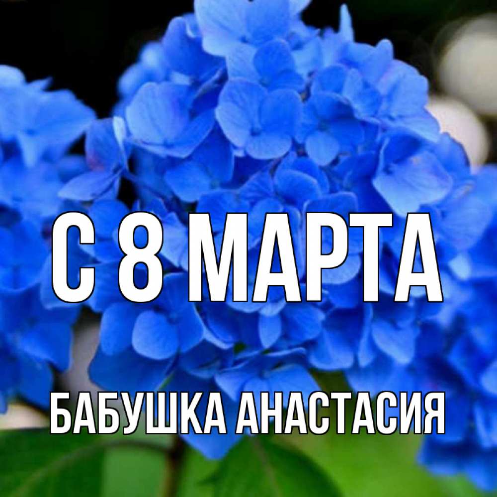 Открытка на каждый день с именем, Бабушка-Анастасия С 8 марта синие цветы Прикольная открытка с пожеланием онлайн скачать бесплатно 