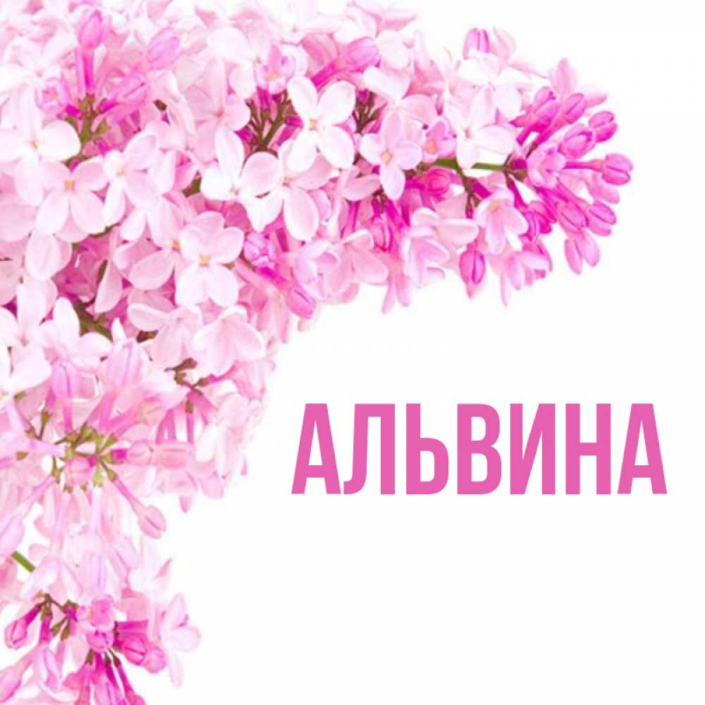 Альвина с днем рождения картинки альвина