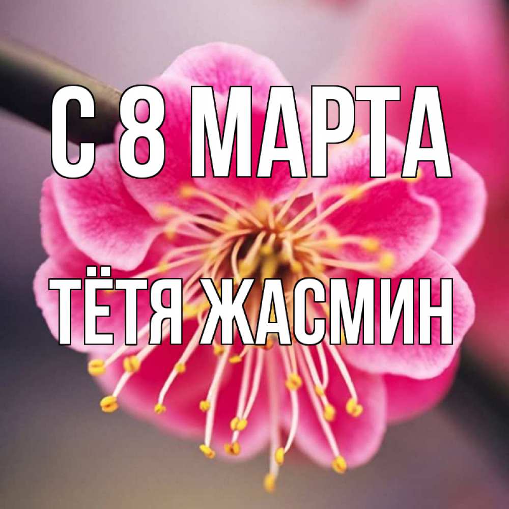 Открытка на каждый день с именем, Тётя-Жасмин С 8 МАРТА цветы Прикольная открытка с пожеланием онлайн скачать бесплатно 